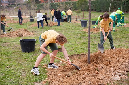 Los escolares del Quercus plantan 100 árboles Valdepastores