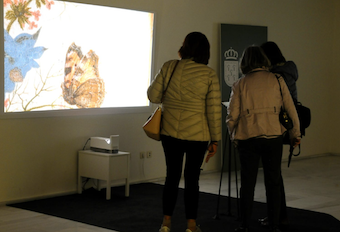 Exposición digital interactiva de los grandes maestros de bodegones florales del siglo XVII en Boadilla