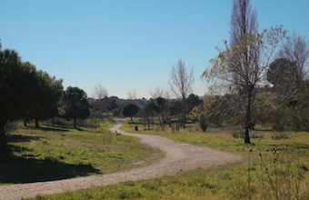 El parque roceño de El Lazarejo será más verde y contará con espacios nuevos