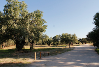 GREFA realizará talleres y charlas en el monte en Boadilla todos los domingos de mayo y junio