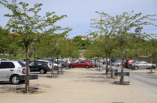 Se protegen los árboles del aparcamiento ecológico del palacio del Infante D.Luis
